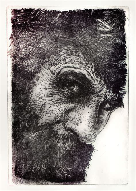 Dry Point Portrait By Mikegodwin Co Uk Fine Art Drawing Figure