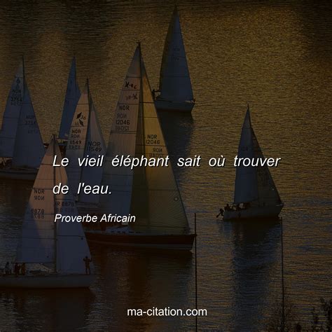 Le Vieil L Phant Sait O Trouver De L Eau Proverbe Africain Ma