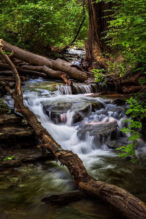 Parkville Nature Sanctuary : r/kansascity