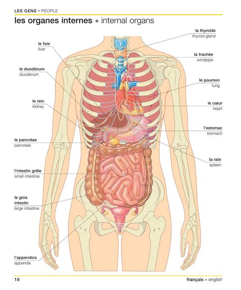 Dictionary free – Artofit