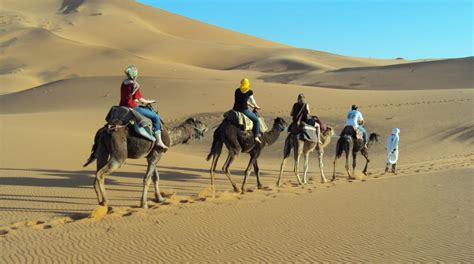 Merzouga Camel Trekking In Morocco - Night,Sunrise,Sunset Camel Rides