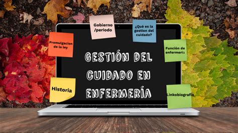 Gestion Del Cuidado En Enfermeria By B Rbara Fuentes On Prezi