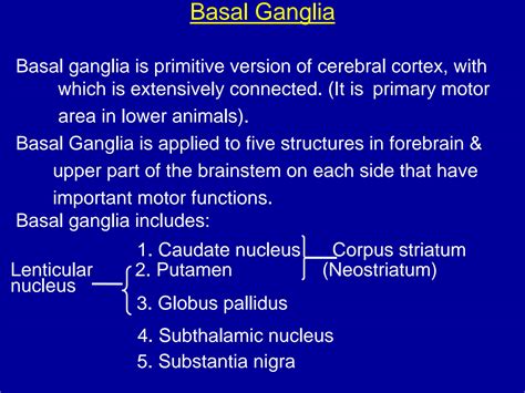 Solution Basal Ganglia Converted Studypool