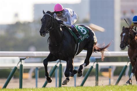 【京都2歳s】武豊マイラプソディが断然の人気に応えて無傷の3連勝！ 競馬ニュースなら競馬のおはなし