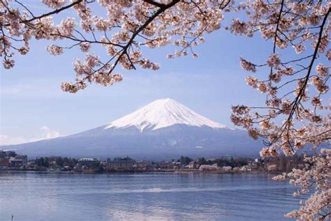 32 Rekomendasi Tempat Wisata di Jepang Terbaik - Tokopedia Blog