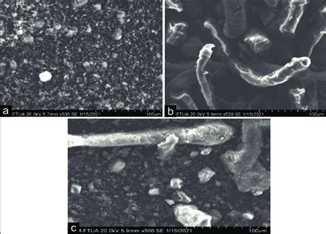 Scanning Electron Micrographs Of A Tnx B Hpmc C Sd All