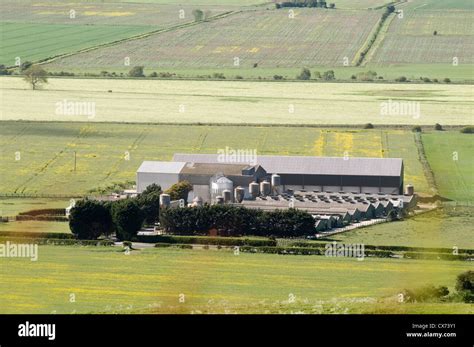 Large Scale Farming Hi Res Stock Photography And Images Alamy