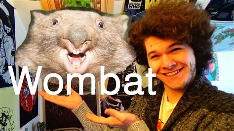 Strange Facts: Ep 8 - Wombat - YouTube