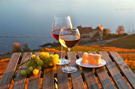 Indulge In Swiss Wine Tasting In Lavaux Vineyards From Bern