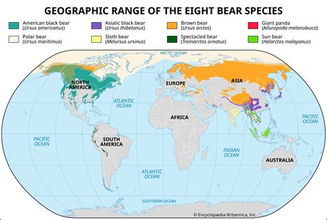 Panda Bear Habitat Map