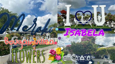 The Meraki Garden Sa Isabela Flowers Garden Bougainvillea Ecotourism