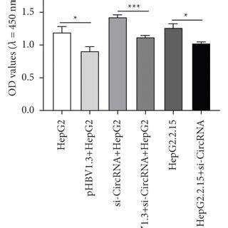 The Roles Of Si Hsa Circ And Mir A On Cell Apoptosis A