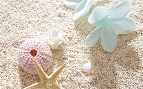 hinh nen wallpaper cho  tinh wallpepers hd