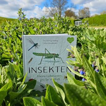 Insekten Kleine Lebewesen Gro E Vielfalt Magellan Verlag