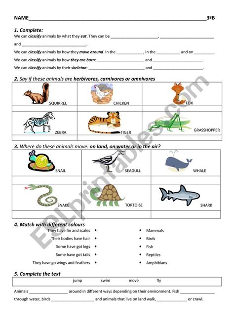 Worksheet Carnivore Omnivore Herbivore Printable Calendars At A Glance