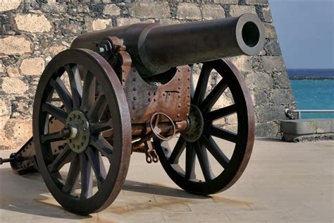 Canon vs. Cannon: What’s the Difference?