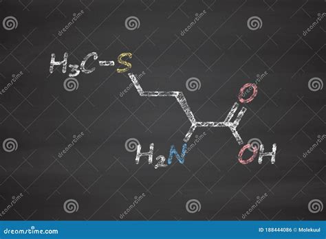 Methionine L Methionine Met M Amino Acid Molecule Stock Illustration