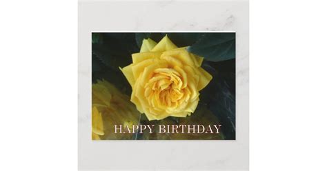 Yellow Rose Birthday Greetings Postcard Zazzle