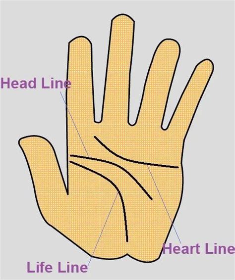 Wealthy And Successful Palmistry Hand Lines Exemplore Palmistry
