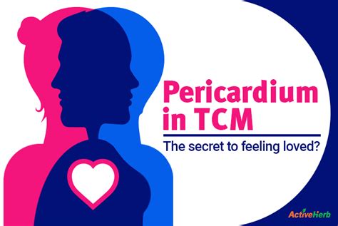 Pericardium In Tcm The Secret To Great Sex Activeherb Blog