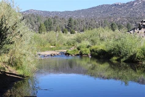 Kennedy Meadows Fishing Catch South Kern River Trout Best Fishing In