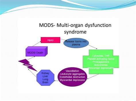 Multiple Organ Dysfunction Syndrome