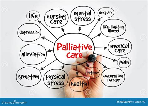 Palliative Care Mind Map Health Concept For Presentations And Reports