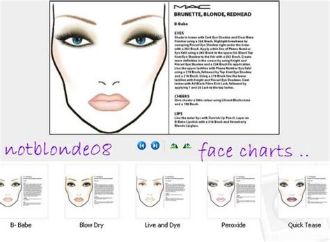 Mac Cosmetics Looks Face Charts