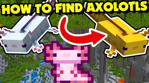 How to Find AXOLOTLS in Minecraft 1.18+ (Minecraft Tutorial) - YouTube