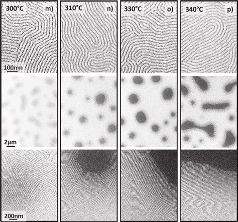 SEM Images At Different Magni Fi Cations Of Symmetric PS B PMMA