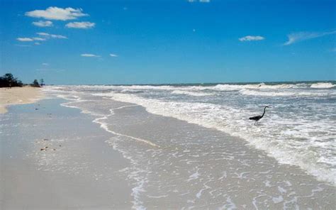 Caladesi Island State Park Beach / Florida / USA // World Beach Guide