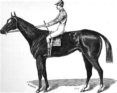 Celebrate This Day!: May 17th: First Kentucky Derby, 1875