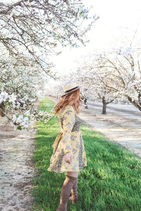 Best Almond Blossoms in California