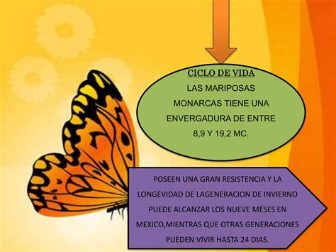 Mariposas Monarcas PPT