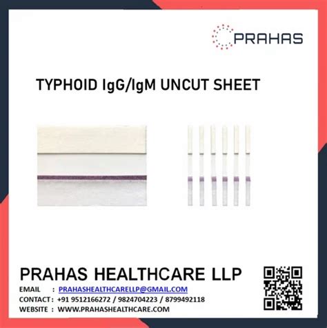 Prahas Typhoid Igg Igm Uncutsheet For Rapid Test At Rs In Vadodara