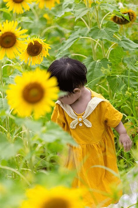 해바라기 여름 어린이 공원 사진과 함께 사진지도 재생 배경 해바라기 여름 신선한 색 배경 일러스트 및 사진 무료 다운로드