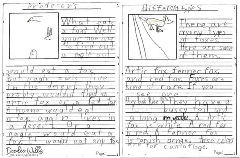 Nd Grade Informational Writing Samples And Teaching Ideas