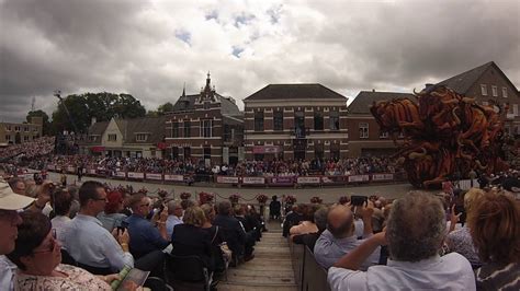 Bloemencorso Zundert E Doorkomst Buurtschap Stuivezand Wildebeest