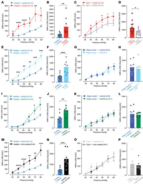 In Vivo Intracolonic Administration Of TGR5 MRGPRA3 And MRGPRC11