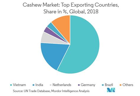 Cashew Market Growth Trends And Forecast