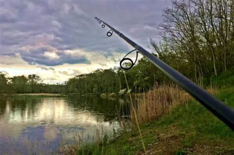 Forellenseen Bei Bochum Simfisch De Angeln Und Outdoor