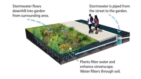 Sustainable Drainage Systems SuDS