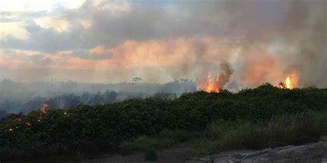 Tiga Perusahaan Di Sekitar Lokasi Kebakaran Lahan Di Pulau Rupat Riau