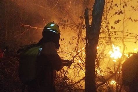 Caatinga Registra Maior N Mero De Queimadas Em