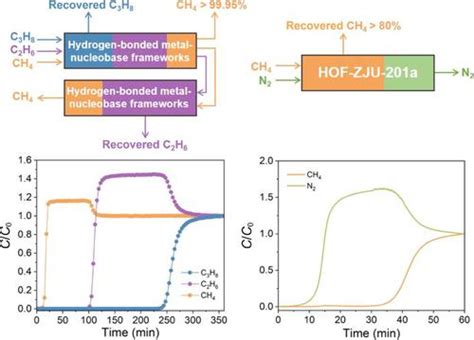 Hydrogen Bonded Metal Nucleobase Frameworks For Highly Selective