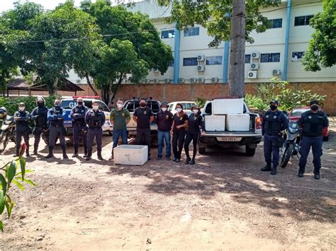 Semma E GMM Apreendem 287kg De Pescado Irregular