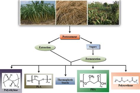 Schematic Representation Of Bioplastics Production From Lignocellulose