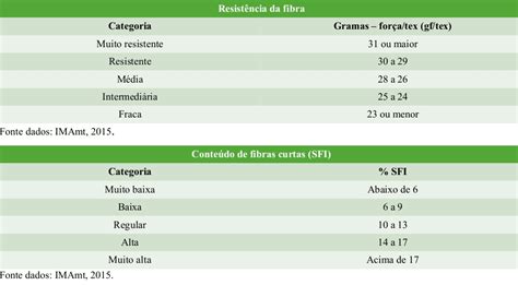 Qualidade Da Fibra Do Algodão Tudo O Que Você Precisa Saber