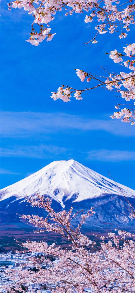 【2024年開運】富士山の待ち受け効果