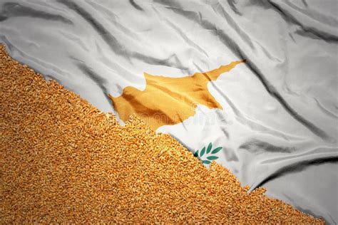 Wheat Grain On The Waving Colorful National Flag Of European Union